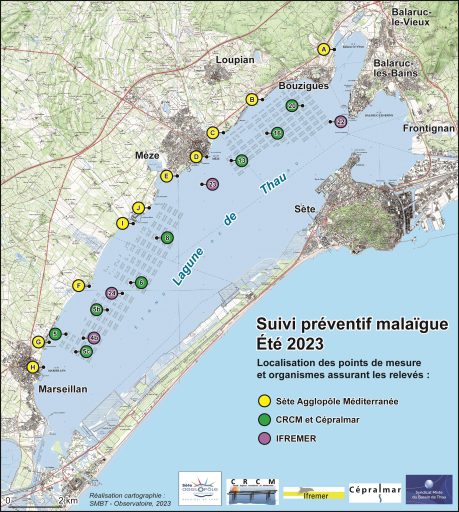 points suivi malaigue 2023 grand format