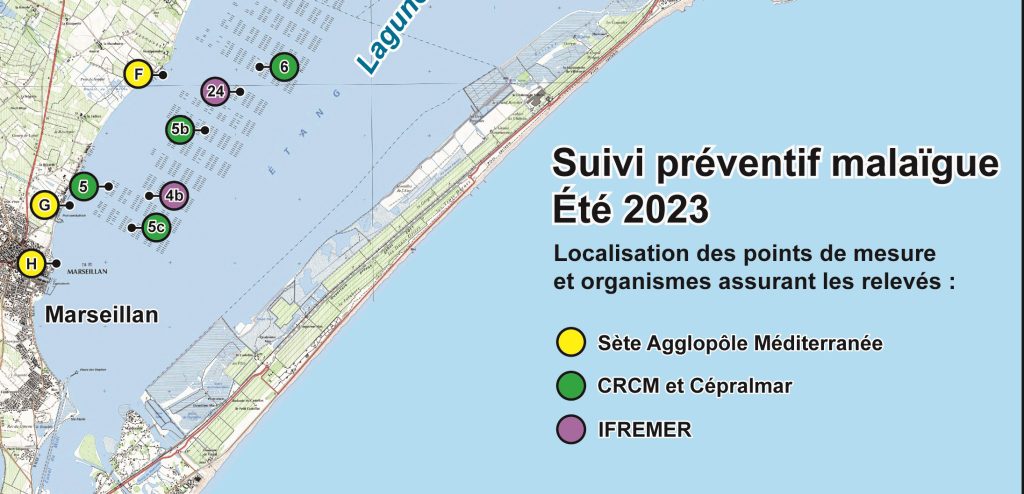 points suivi malaigue 2023 v4