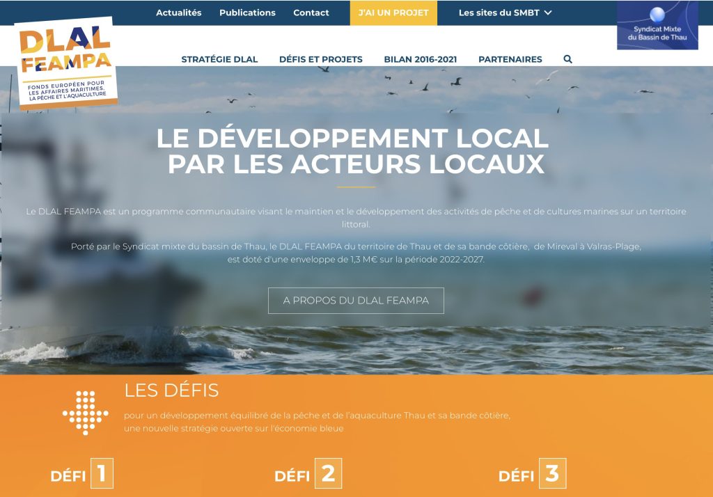 page-accueil-site-dlal-smbt