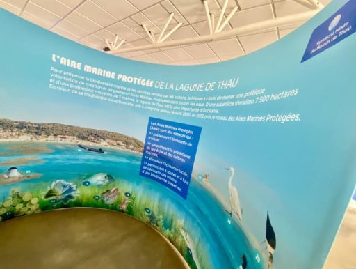 expo aire marine protegee thau