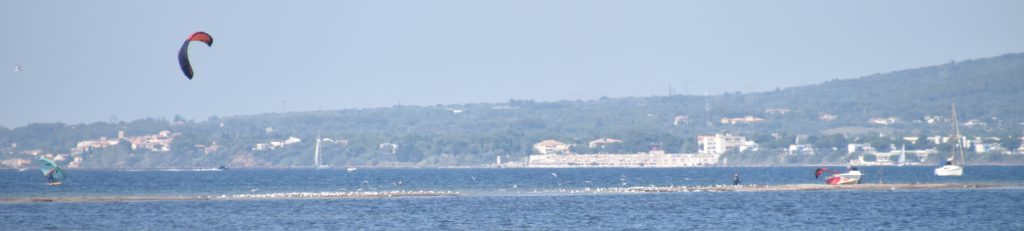 dsc 0200