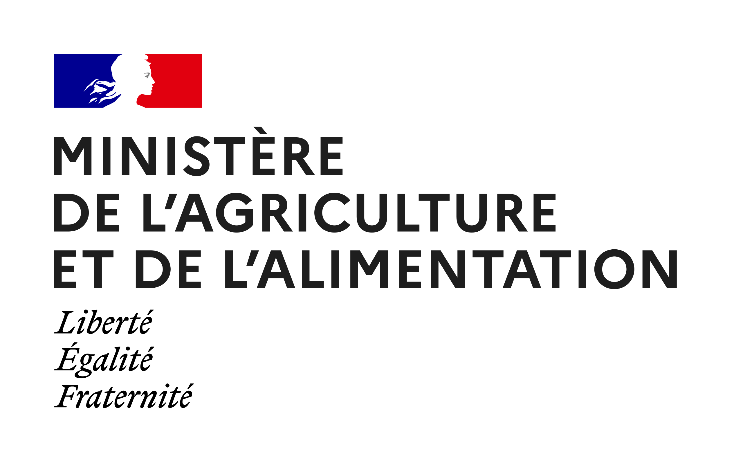 logo du ministere de lagriculture et de lalimentation 2020 svg