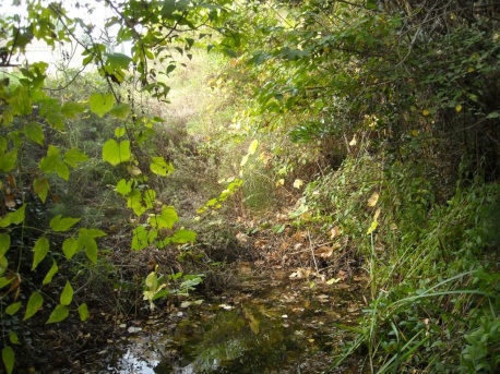 riviere cours d eau