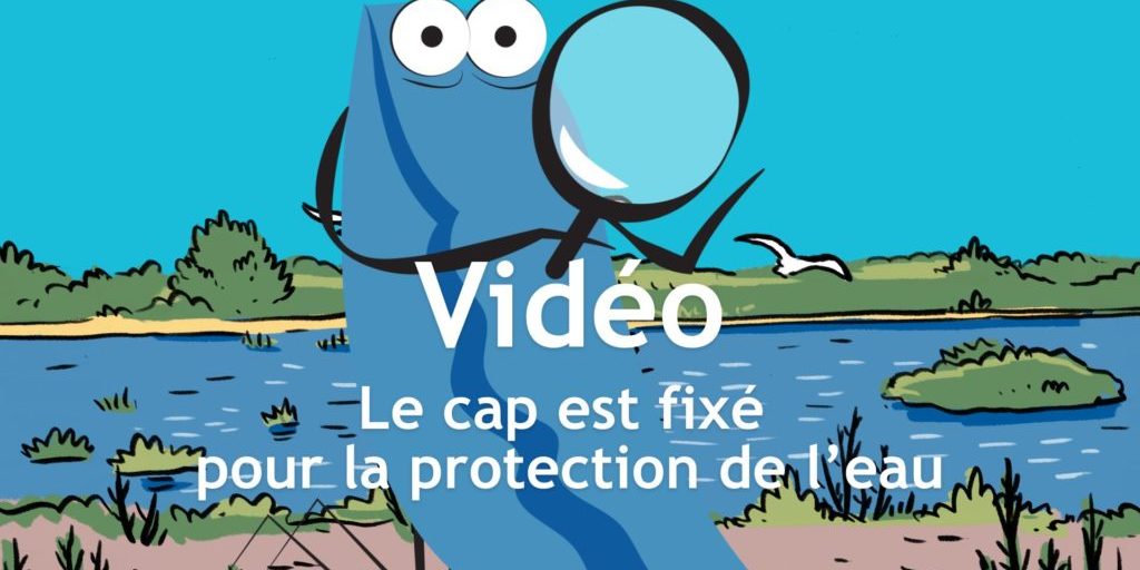 4-video-sage 4-video-sage