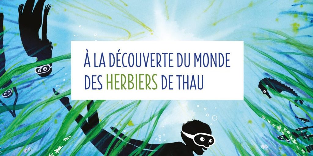 8-herbiers 8-herbiers