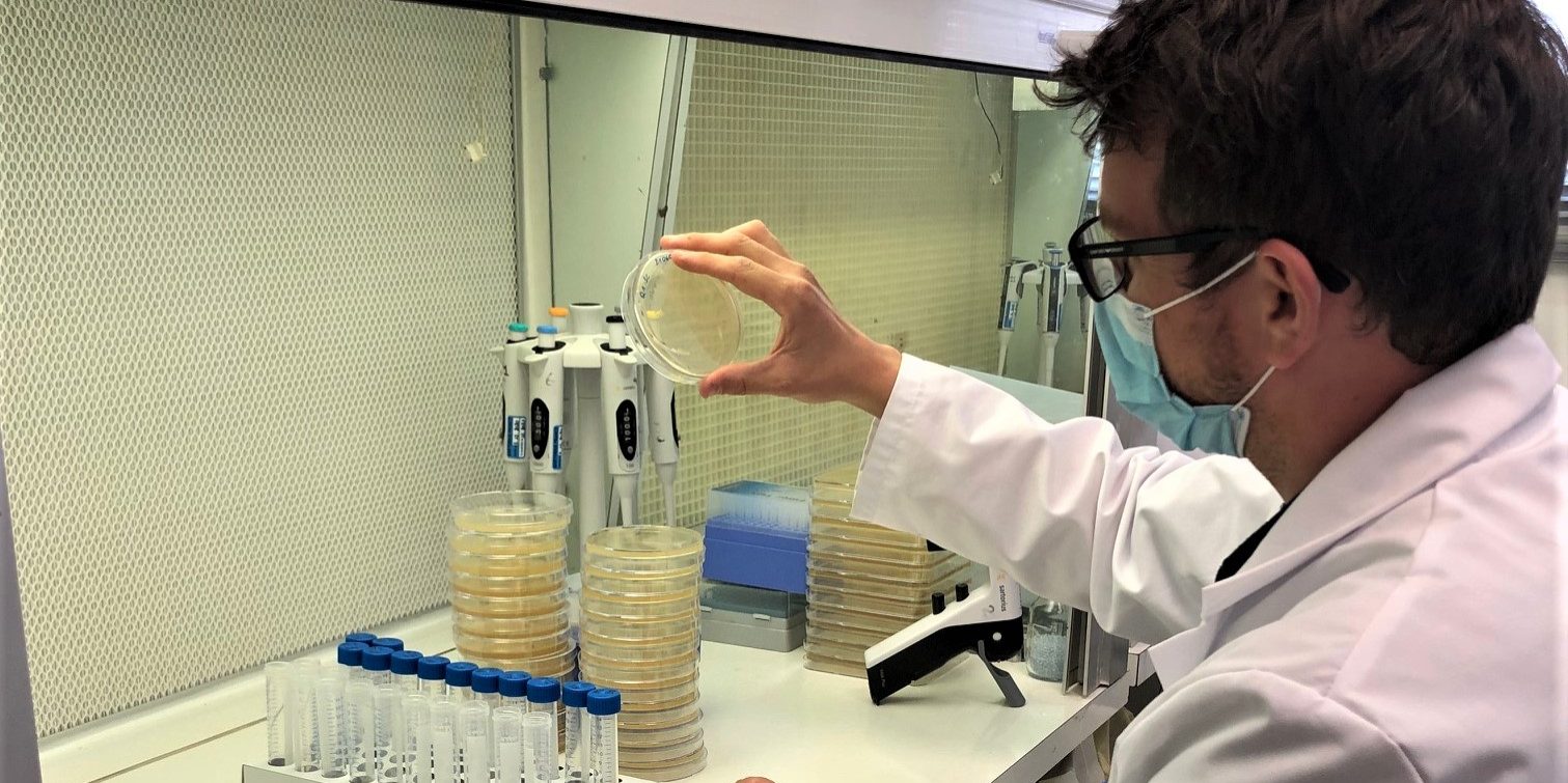 labo-norovirus labo-norovirus