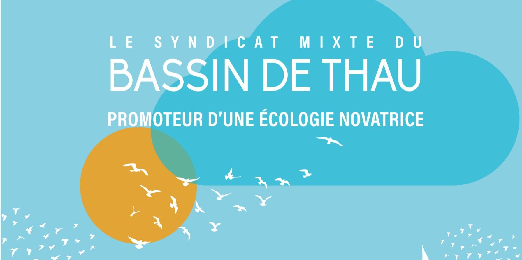 rapport activite SMBT 2 rapport activite SMBT 2