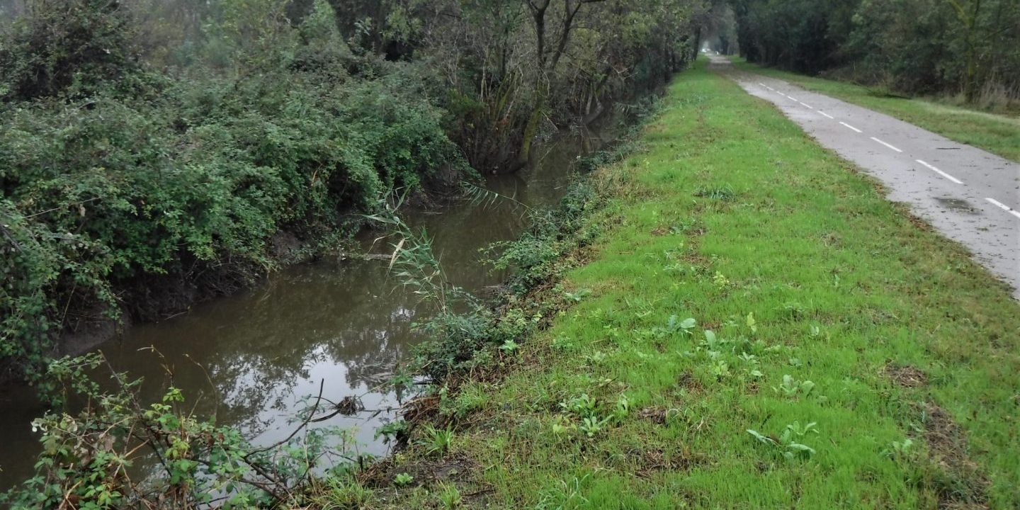 ruisseau-de-la-lauze ruisseau-de-la-lauze
