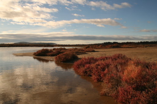 favoriser-la-qualite-de-leau-et-des-milieux-natuels-3-copie