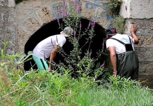 light-diagnostic-hydromorphologique-et-ecologique-terrain-aquascop-3