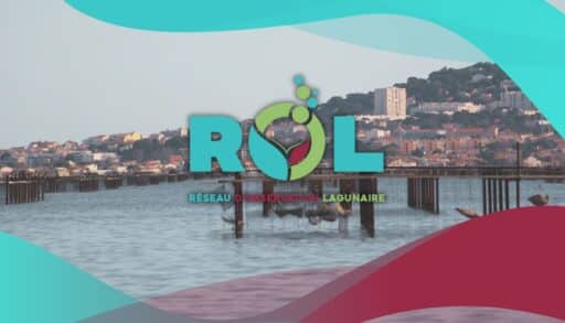 rol-page-site